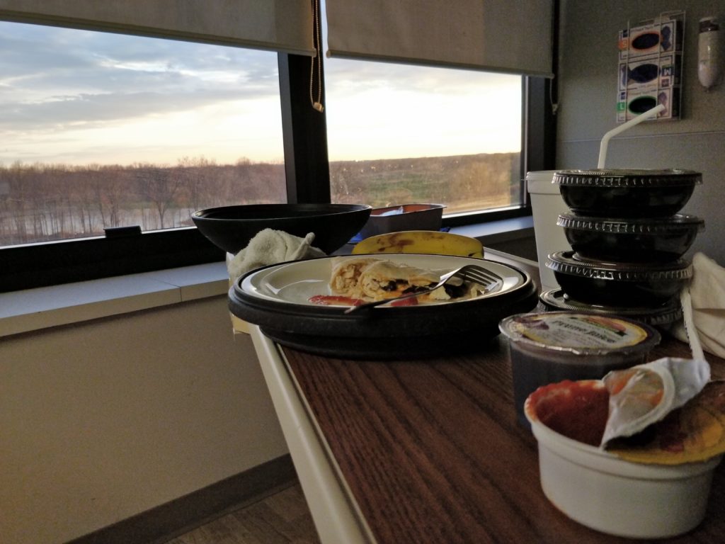 hospital food chicken cheese and bean quesadilla